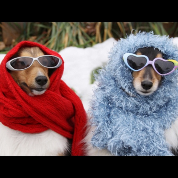 Bundle and save 20%! - Picture 2 of 3